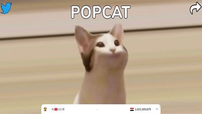 POPCAT تشتعل في مصر | ما هي بوبكات ولماذا تقفز عالميًا