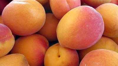 مفيدة للقلب والأوعية الدموية.. فوائد تناول المشمش