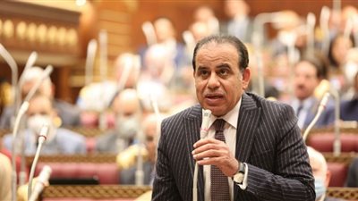 برلمانية الوفد: (الاختيار 3) جدد وحدة المصريين.. وبطولات الجيش والشرطة سطرها الأبطال بحروف من نور