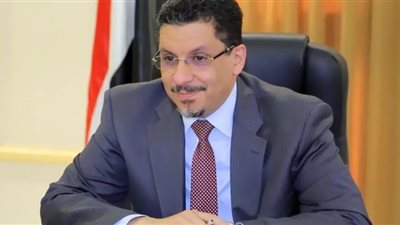 وزير الخارجية اليمني يشكر مصر على دورها الداعم لحكومة بلاده