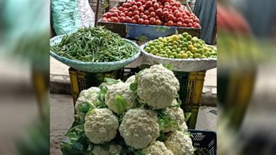 استقرار أسعار الخضراوات والفاكهة في أسواق الفيوم