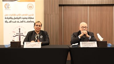 بالتعاون مع وزارة العدل.. القومي للمرأة يعقد تدريبا تفاعليا للقاضيات