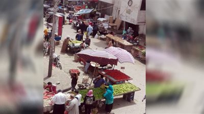 الطماطم خارج السيطرة في أسواق سوهاج.. والكيلو وصل 20 جنيهًا