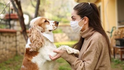 علماء يتنبأون بالحيوانات التي من الممكن أن تنشر فيروس كورونا