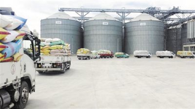 ٣٤ صومعة بالدقهلية جاهزة لاستلام المحصول