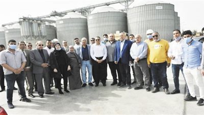 الشرقية تستقبل ٦٥١ ألف طن من القمح