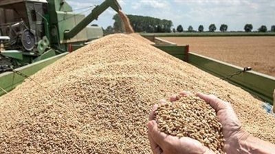 تجارة الحبوب المحلية والعالمية تواجه مصيرًا غير معلوم بسبب الحرب الروسية الأوكرانية