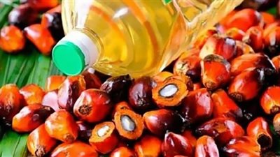 كيف يمكن لزيت النخيل أن يؤثر على تطور السرطان ؟