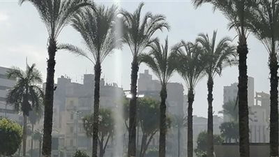 الأرصاد تحذر من خداع الطقس: انخفاض في درجات الحرارة مع نشاط للرياح (فيديو)