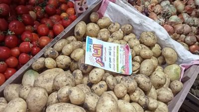 انخفاض أسعار الخضروات والفاكهة فى أسواق بني سويف