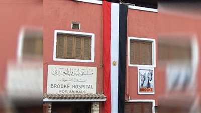بعد زيارة الدوقة كاميلا لها.. تعرف على مستشفى بروك بالسيدة زينب