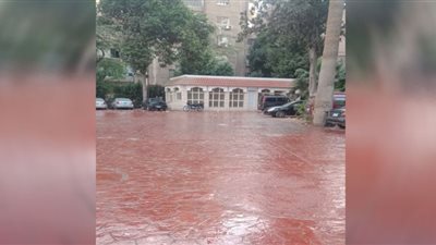 صور.. الأمطار تضرب الجيزة والمحافظ يشدد على الإجراءات اللازمة للتعامل السريع