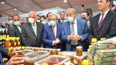 التنمية المحلية: 