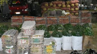 انخفاض أسعار الخضروات والفاكهة بأسواق الفيوم