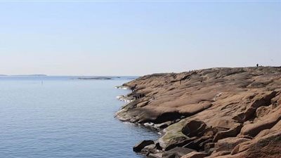 شاهد.. العثور على حيوان غريب يثير حيرة الكثيرين في بحر النرويج