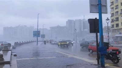 حريق هائل بوحدة الايداع التابعة لمحافظة الإسكندرية وتفحم 28 سيارة