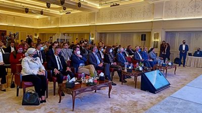 مكرم: القيادة السياسية تهتم بملف المصريين في الخارج