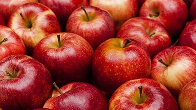 أطعمة تقلل ارتفاع نسبة الكوليسترول في الدم