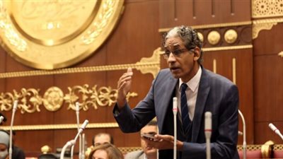 الشيوخ يوافق على مقترح النائب طارق تهامي في تعديلات قانون المسنين