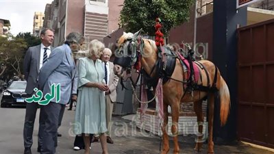 شاهد| الوفد في جولة داخل مستشفى الخيول الخيري 