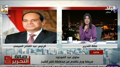 سيدة كفر الشيخ: السيسي أبونا كلنا وربنا يحميه (فيديو)