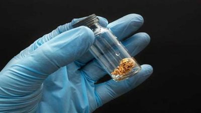 الإفتاء: عملية تجميد البويضات جائزة إذا تمت وفق ضوابط معينة