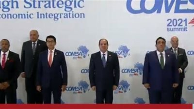 شاهد.. السيسي يلتقط صورة جماعية مع القادة المشاركين في قمة دول تجمع الكوميسا