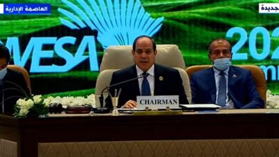 فيديو.. السيسي: الدول الأفريقية لا تزال تعاني من أثار كورونا