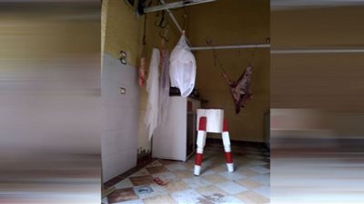 تعرف على أسعار اللحوم الحمراء والدواجن بالدقهلية