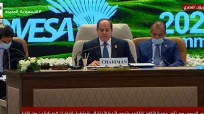 فيديو.. السيسي: مصر مستعدة لمشاركة خبراتها الاقتصادية مع دول الكوميسا