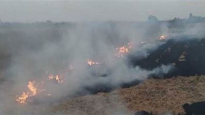 السيطرة على حريق بمخلفات زراعية على طريق 