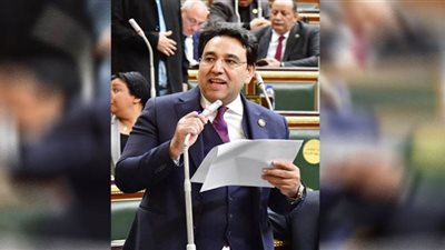 أيمن محسب يطالب الحكومة باستعراض سياستها بشأن الاستثمار في الهيدروجين الأخضر