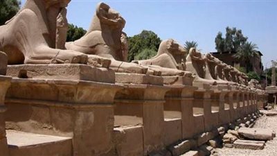 قبل ساعات من افتتاحه.. سر تسمية طريق الكباش بهذا الاسم