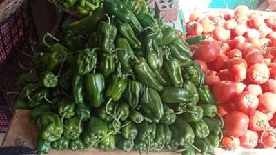 انخفاض أسعار الخضروات والفاكهة فى أسواق بني سويف