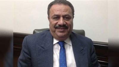 الضرائب: إتاحة نماذج إقرارات المشروعات الصغيرة على المنظومة الإلكترونية