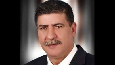 النائب حسام عاشور: توجيهات الرئيس بتطوير المساجد والأضرحة يعكس حرصه على المظهر الحضاري