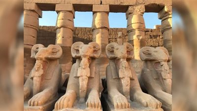 افتتاح طريق الكباش| سر اختيار حيوان الكبش رمزًا للطريق