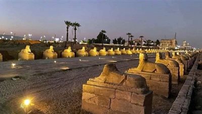 افتتاح طريق الكباش| علماء وأثريون ساهموا في إخراج الطريق الأثري للنور