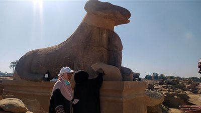 الأيادي الناعمة تضع بصمتها الذهبية في الحفل الأسطوري