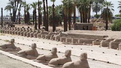 بث مباشر طريق المواكب الملكية «الكباش»