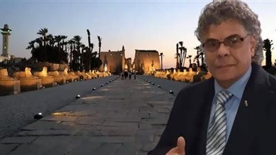 المصريون في ألمانيا يحتفلون بافتتاح طريق الكباش عبر الفيديو كونفرانس