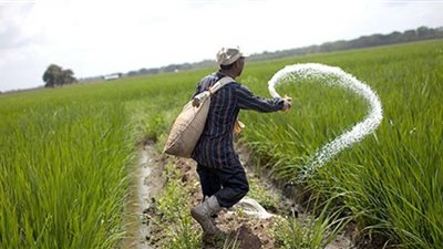 زراعة سوهاج: المحافظة تسلمت 120 ألف و375 جوال أسمدة منذ بداية الموسم الشتوي