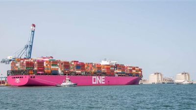 تداول بضائع وحاويات 11 سفينة متنوعة بميناء دمياط