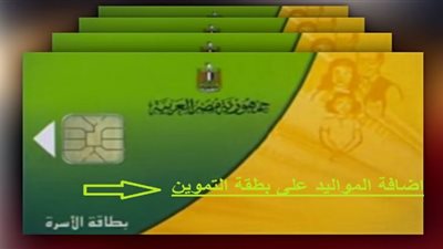 خطوة بخطوة.. رابط موقع دعم مصر لإضافة المواليد 2022
