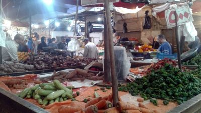 إنخفاض أسعار بيع الطماطم بأسواق البحيرة