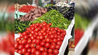 تعرف على أسعار الخضراوات والفاكهة في أسواق بني سويف