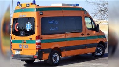 مصرع مزارعين فى حادث تصادم بين 