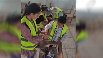 صور.. برلمان الطلائع بجنوب سيناء يطلق مبادرة 