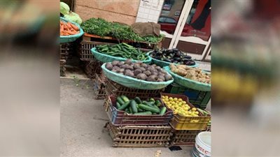 الطماطم بـ 15 جنيه.. تعرف على أسعار الخضروات والفاكهة بالدقهلية