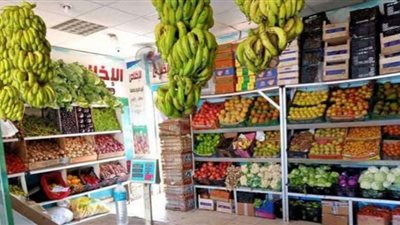 استقرار اسعار الخضروات والفاكهة بأسواق الفيوم